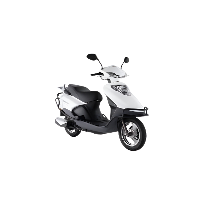 Zenzero 125
