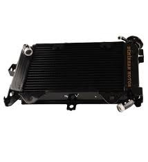 Bajaj Pulsar 200ns Radyatör (2014-2024)