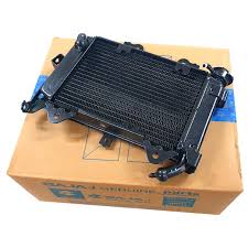 Bajaj Pulsar 200ns Radyatör Komple Orjinal (2014-2024)