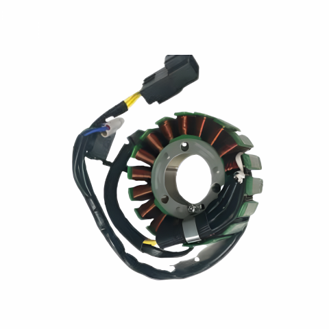 Cf Moto 250nk 250sr Statör Sargı Oem E4 E5