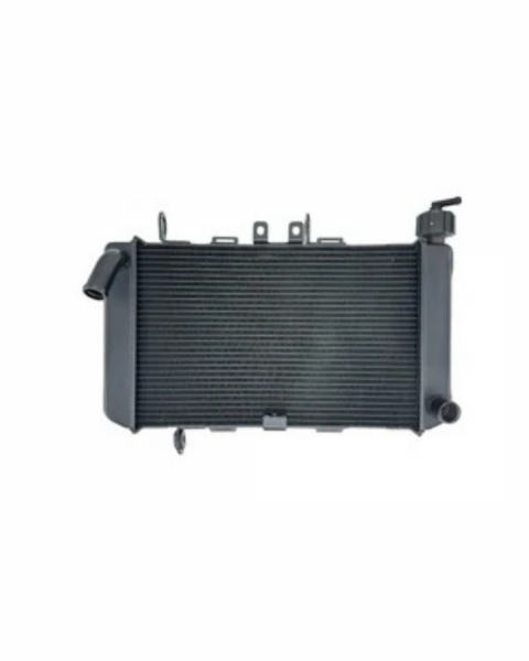 Cf Moto 450nk Radyatör