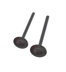 Honda Cbr 125r Subap Takım Oem (2006-2017)