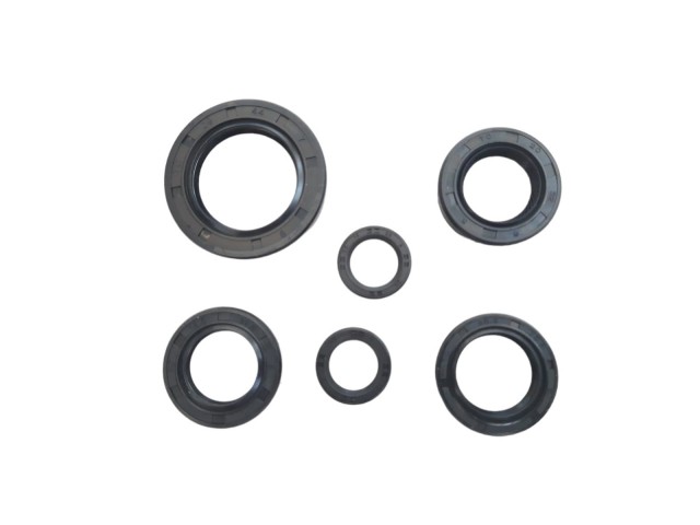 Honda Dio 110 Motor Yağ Keçe Takım (6'lı)