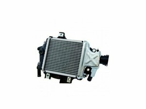 Honda Pcx 125 / 150 Radyatör 2013-2020