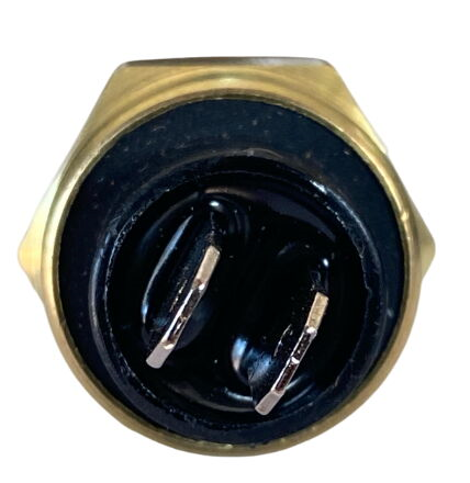 Kawasaki Hararet (ısı) Müşürü (zx6 - Z 800 - Nk 150 )