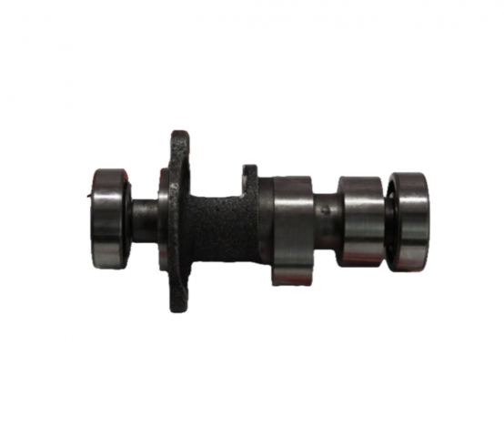 Mondial Rx3i Evo Eksantrik Mili Oem