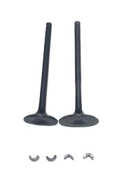 Motogusto Fantasy 125 Subap Takım Dq