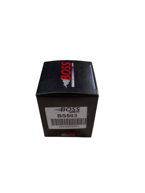 Rks Rz 250s / Piaggio Beverly 400 / Zontes 350t Yağ Filtresi Boss