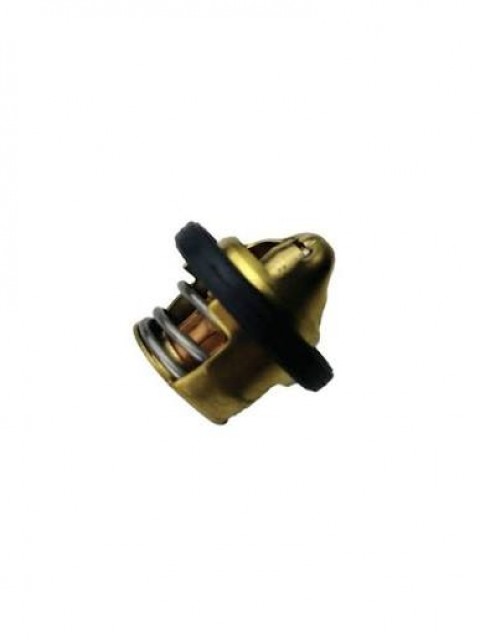 Rks Srk 125-r Termostat