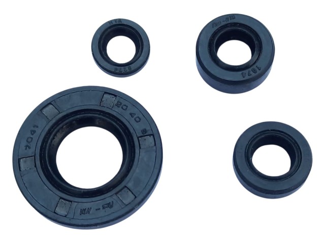 Tvs Raider 125 Motor Yağ Keçe Seti