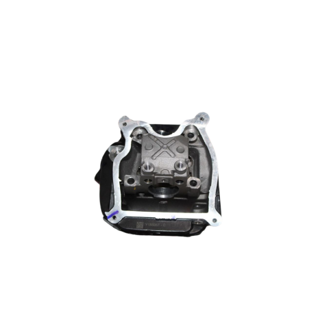 Tvs Raider 125 Silindir Üst Kapak Orjinal K20102807d