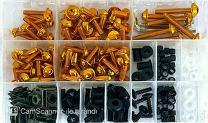 Universal Motosiklet Renkli Civata Seti Grenaj (kaporta) Gold