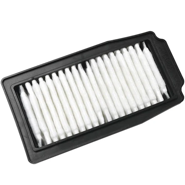 Suzuki Gw Inazuma 250 Hava Filtresi