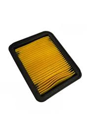 Tvs Rtr 200 Hava Filtresi (e5) 2024-2025